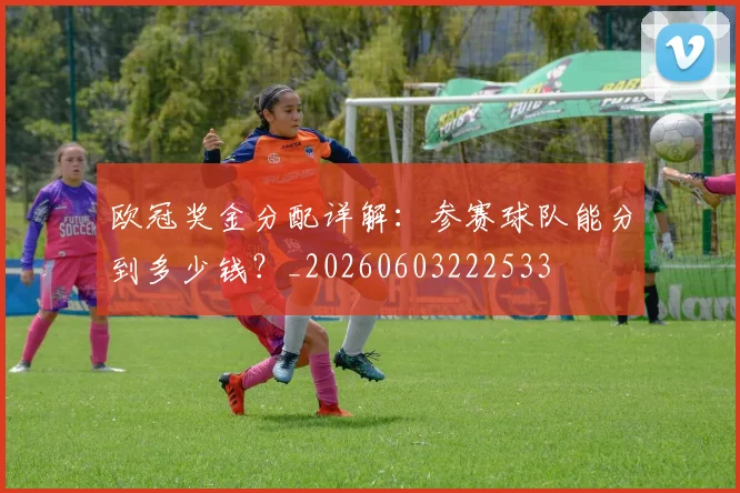 欧冠奖金分配详解:参赛球队能分到多少钱?_20260603222533